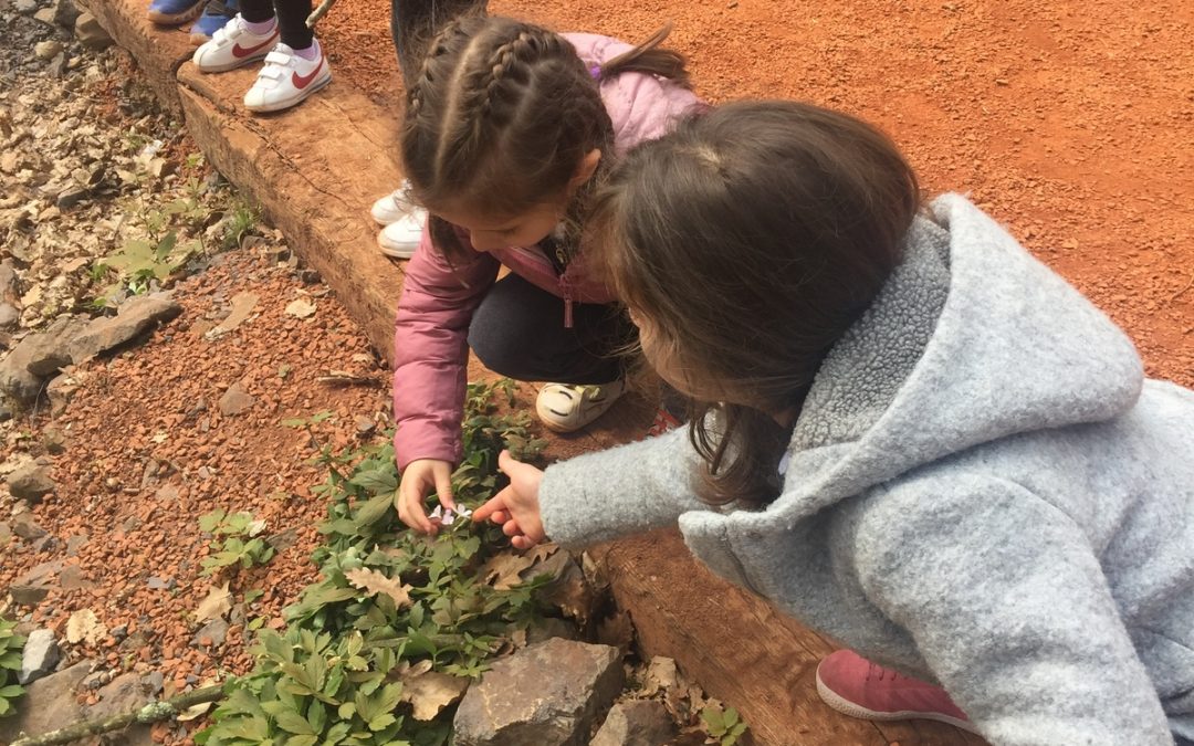 Okulöncesi 5-6 Yaş Öğrencilerimizin Irmak Tabiat Parkı İlkbahar Gezisi