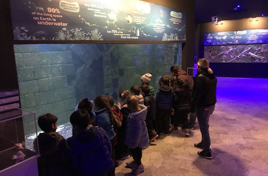 Okulöncesi 5-6 Yaş Öğrencilerimiz Wildpark’ı Ziyaret Ettiler