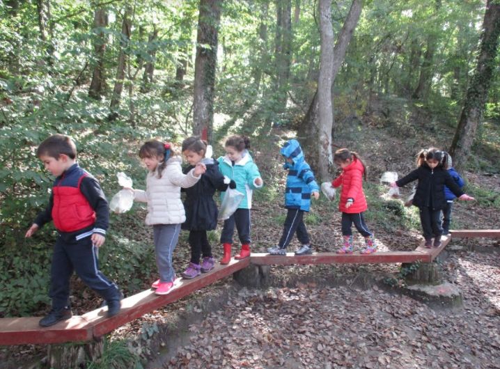 Okulöncesi 5-6 Yaş Ormanda Sonbahar Gezisi