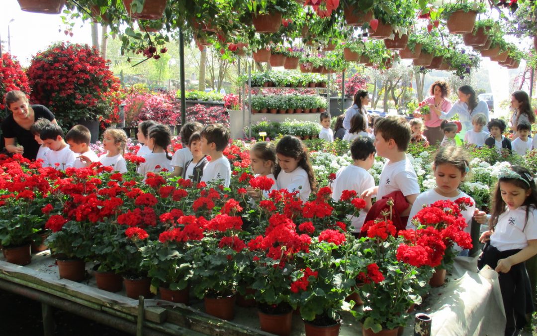 Okulöncesi 4-5 Yaş Botanik Gezisi