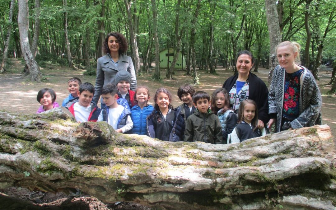 Okulöncesi 4-5 Yaş Öğrencilerimizle Belgrad Ormanı Gezisi Gerçekleştirdik