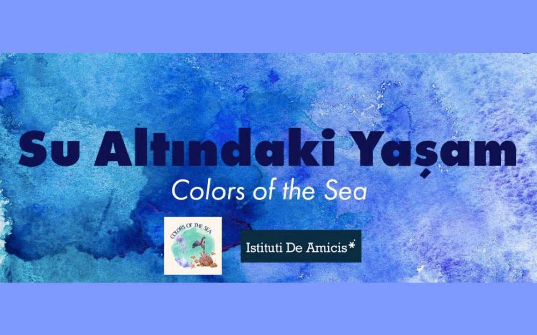 Have You Visited our Digital Exhibition on “Life Under Water”?