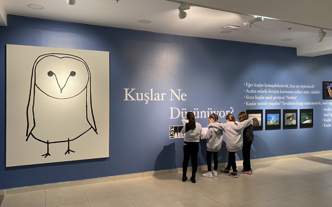 Our Students’ Art Works within the Scope of the “What Do Birds Think?” Project Are in the Exhibition Placed in our Culture Center
